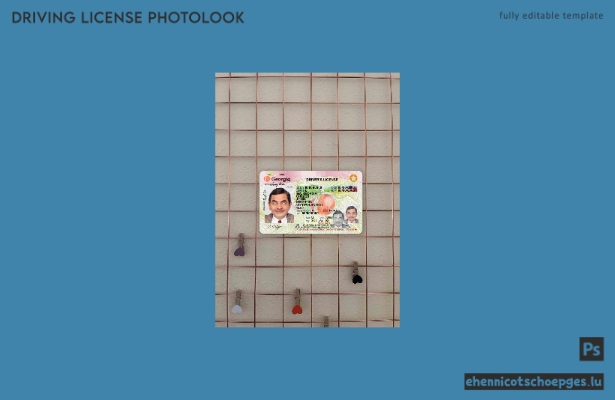 USA Georgia Führerschein Fotoansicht 2017-2019